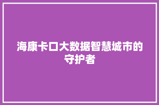 海康卡口大数据智慧城市的守护者