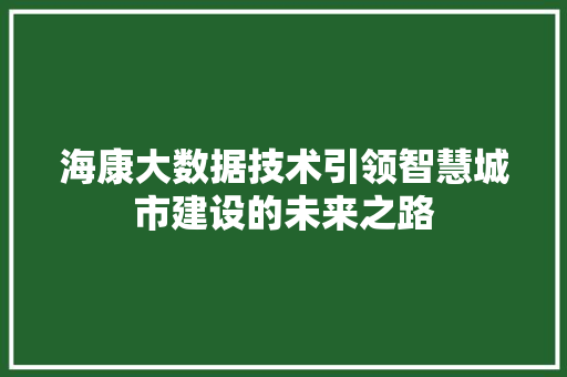 海康大数据技术引领智慧城市建设的未来之路