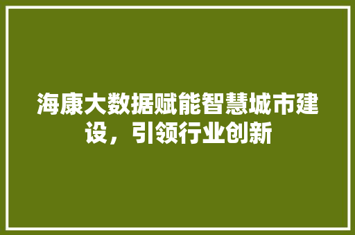 海康大数据赋能智慧城市建设，引领行业创新