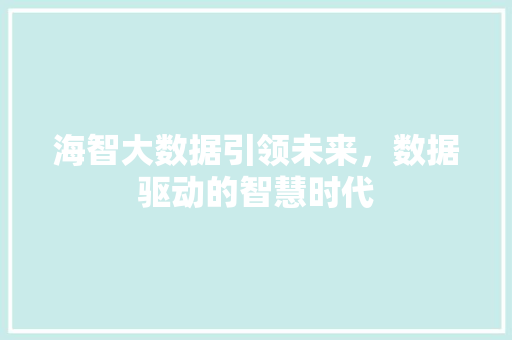 海智大数据引领未来，数据驱动的智慧时代