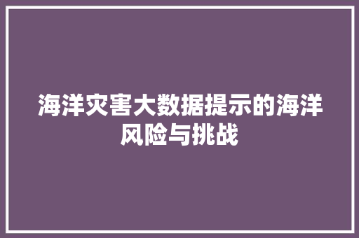 海洋灾害大数据提示的海洋风险与挑战