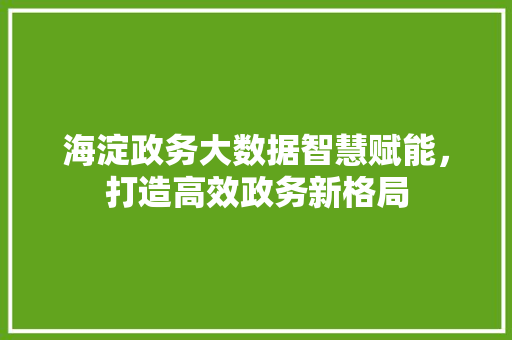 海淀政务大数据智慧赋能，打造高效政务新格局
