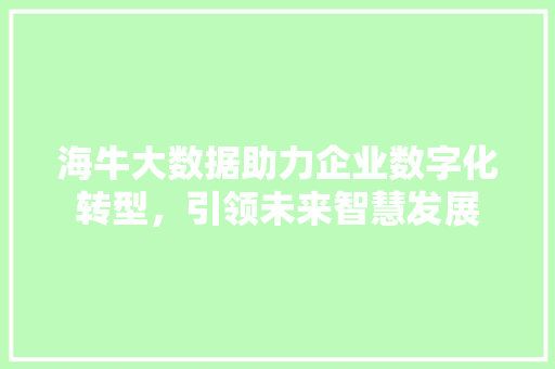 海牛大数据助力企业数字化转型，引领未来智慧发展