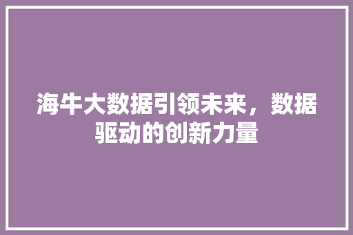 海牛大数据引领未来，数据驱动的创新力量