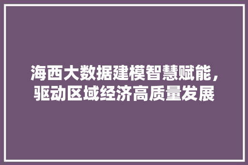 海西大数据建模智慧赋能，驱动区域经济高质量发展