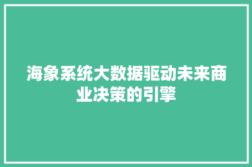 海象系统大数据驱动未来商业决策的引擎