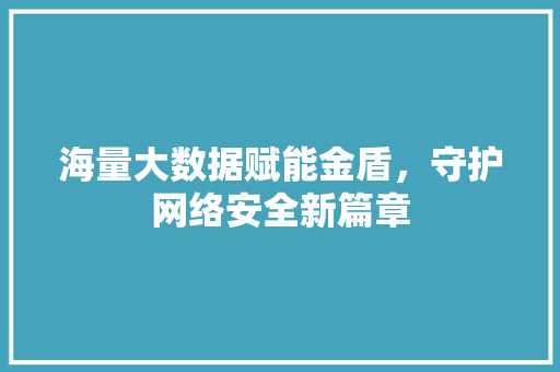 海量大数据赋能金盾，守护网络安全新篇章