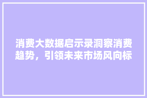 消费大数据启示录洞察消费趋势，引领未来市场风向标