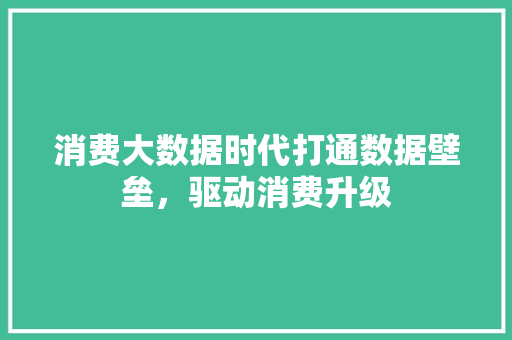 消费大数据时代打通数据壁垒，驱动消费升级