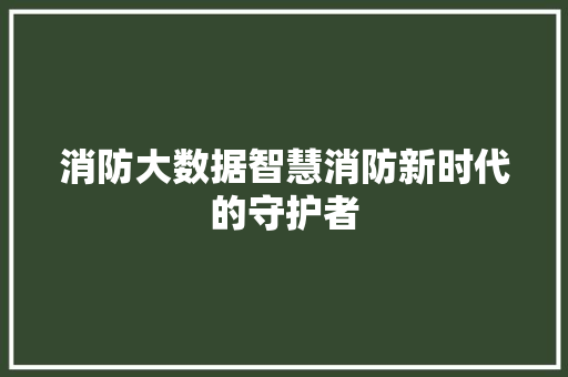 消防大数据智慧消防新时代的守护者