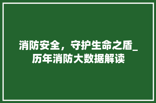 消防安全，守护生命之盾_历年消防大数据解读