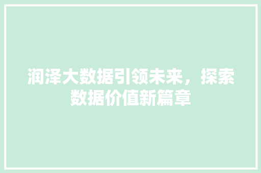 润泽大数据引领未来，探索数据价值新篇章