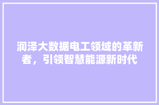 润泽大数据电工领域的革新者，引领智慧能源新时代