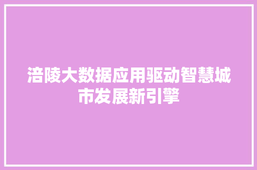 涪陵大数据应用驱动智慧城市发展新引擎