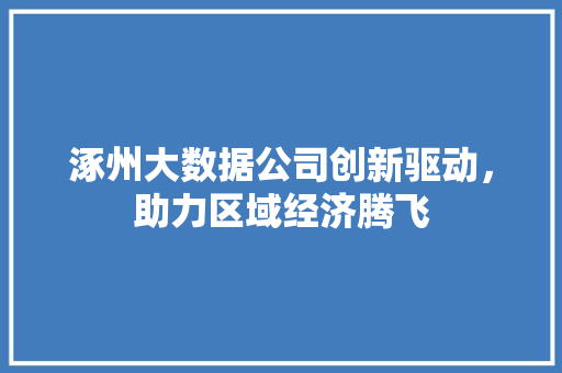 涿州大数据公司创新驱动，助力区域经济腾飞