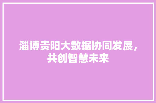 淄博贵阳大数据协同发展，共创智慧未来