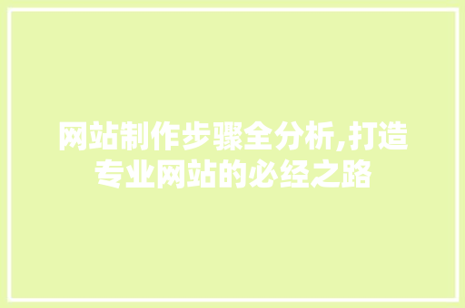 网站制作步骤全分析,打造专业网站的必经之路