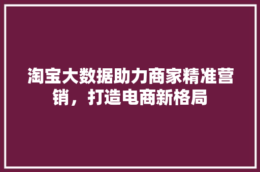 淘宝大数据助力商家精准营销，打造电商新格局