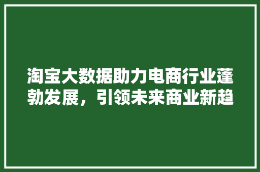 淘宝大数据助力电商行业蓬勃发展，引领未来商业新趋势