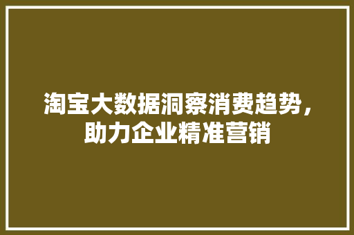 淘宝大数据洞察消费趋势，助力企业精准营销