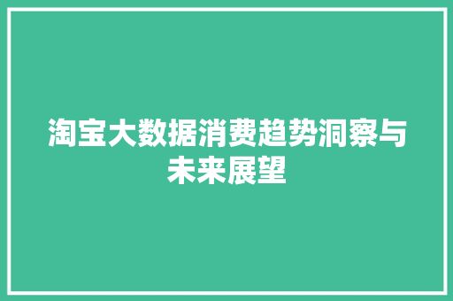 淘宝大数据消费趋势洞察与未来展望