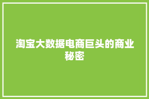 淘宝大数据电商巨头的商业秘密