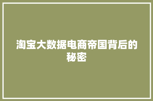 淘宝大数据电商帝国背后的秘密