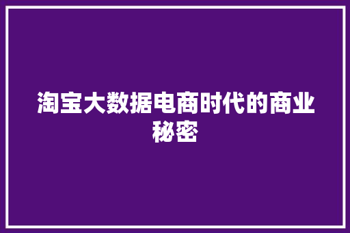 淘宝大数据电商时代的商业秘密