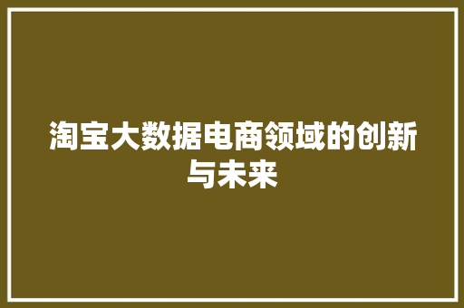 淘宝大数据电商领域的创新与未来