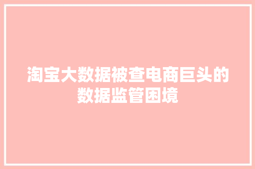 淘宝大数据被查电商巨头的数据监管困境