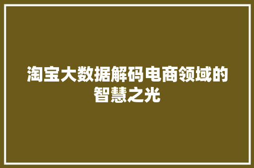 淘宝大数据解码电商领域的智慧之光
