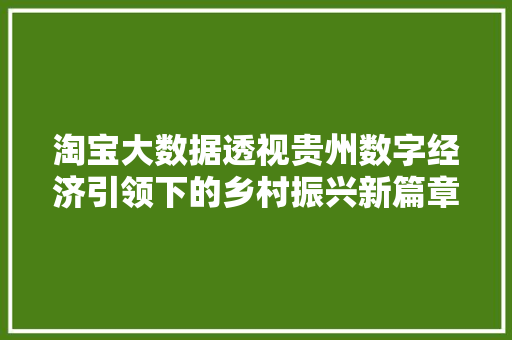 淘宝大数据透视贵州数字经济引领下的乡村振兴新篇章