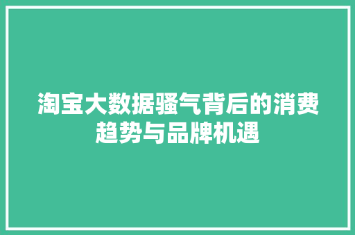 淘宝大数据骚气背后的消费趋势与品牌机遇