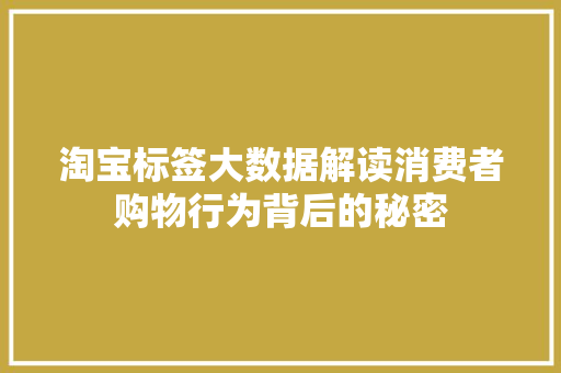 淘宝标签大数据解读消费者购物行为背后的秘密