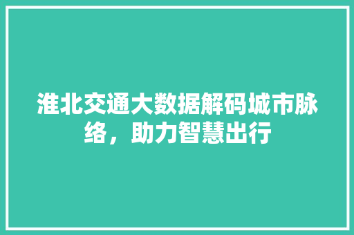 淮北交通大数据解码城市脉络，助力智慧出行