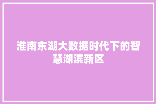 淮南东湖大数据时代下的智慧湖滨新区