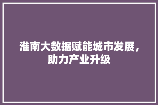 淮南大数据赋能城市发展，助力产业升级