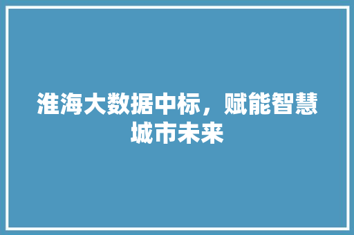 淮海大数据中标，赋能智慧城市未来