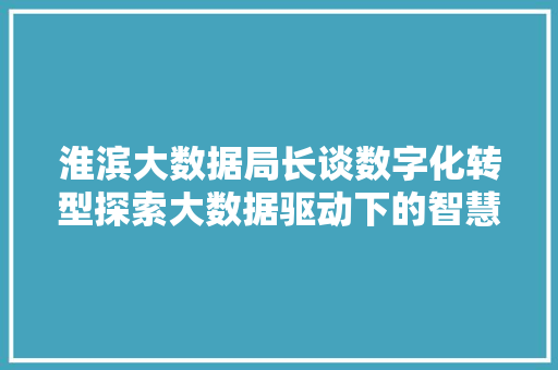 淮滨大数据局长谈数字化转型探索大数据驱动下的智慧发展之路