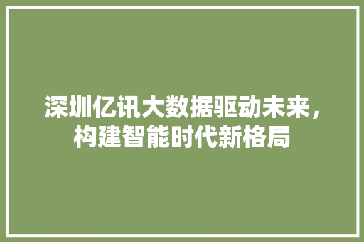 深圳亿讯大数据驱动未来，构建智能时代新格局