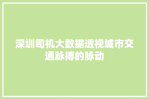 深圳司机大数据透视城市交通脉搏的脉动