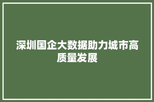 深圳国企大数据助力城市高质量发展