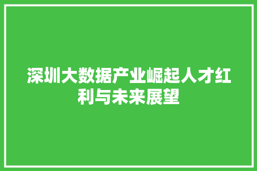 深圳大数据产业崛起人才红利与未来展望