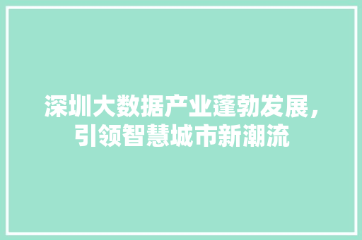 深圳大数据产业蓬勃发展，引领智慧城市新潮流