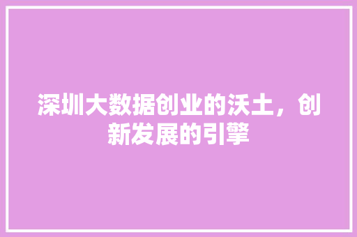 深圳大数据创业的沃土，创新发展的引擎