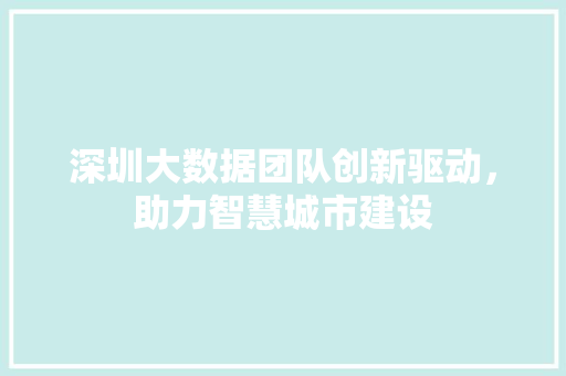 深圳大数据团队创新驱动，助力智慧城市建设