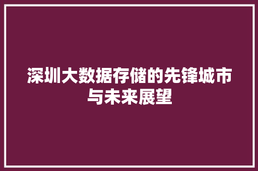深圳大数据存储的先锋城市与未来展望