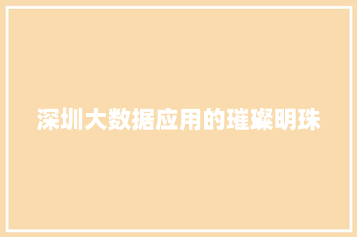 深圳大数据应用的璀璨明珠