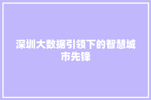 深圳大数据引领下的智慧城市先锋