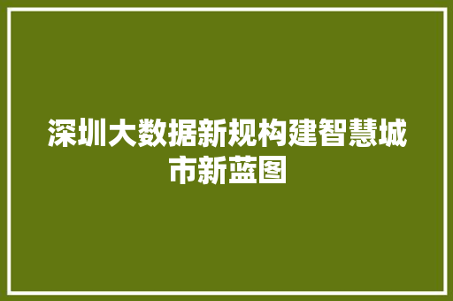 深圳大数据新规构建智慧城市新蓝图